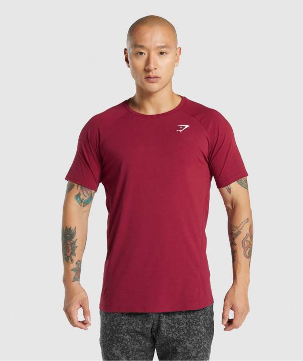 Panske Tricka Gymshark Critical 2.0 Bordove | TR7093845
